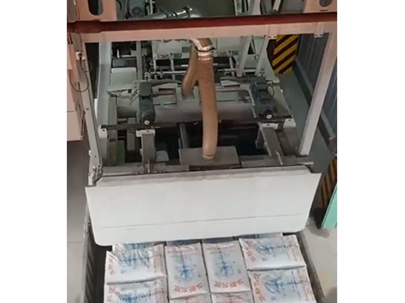 袋裝水泥全自動裝車機(jī)